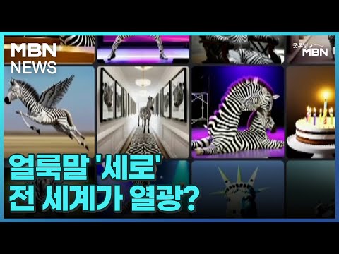 [인터넷 와글와글] 얼룩말 '세로' 전 세계가 열광? [굿모닝 MBN]
