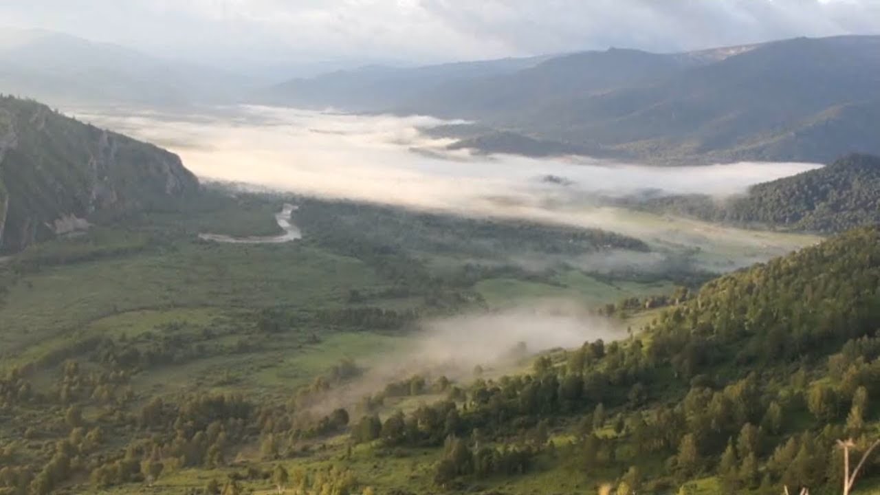Алтайский край регион авто