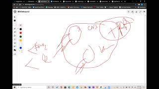 Respiratory System for USMLE : Lecture 1.0 by Nahid
