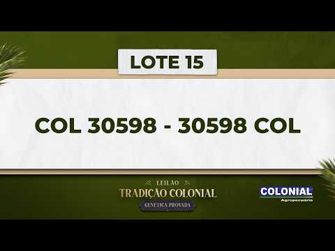 LOTE 15   COL 30598   30598 COL