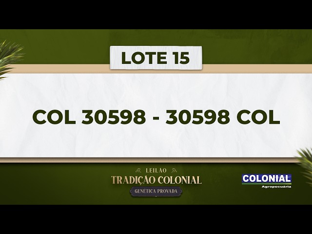 LOTE 15   COL 30598   30598 COL