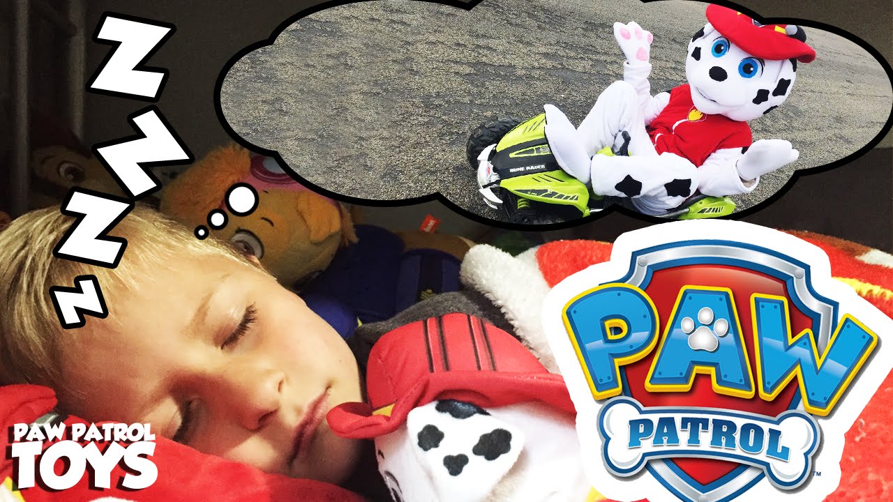 paw patrol tv show characters PAW PATROL Live Action Parody with Marshall in Real Life with New Paw Patrol Toy IRL
