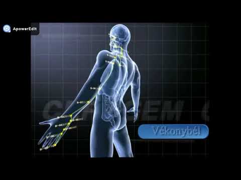 Videó: Hogyan Lehet Meghatározni Az Axiális Meridiánt