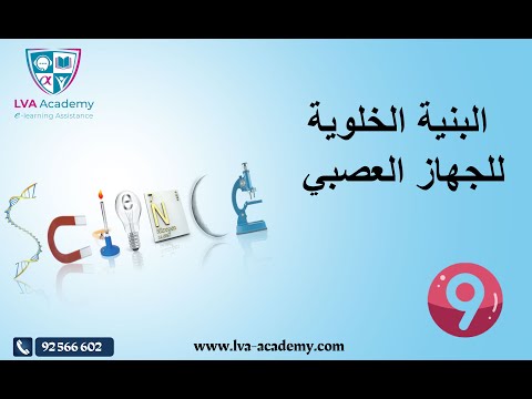 علوم الحياة والارض البنية الخلوية للجهاز العصبي 9 اساسي