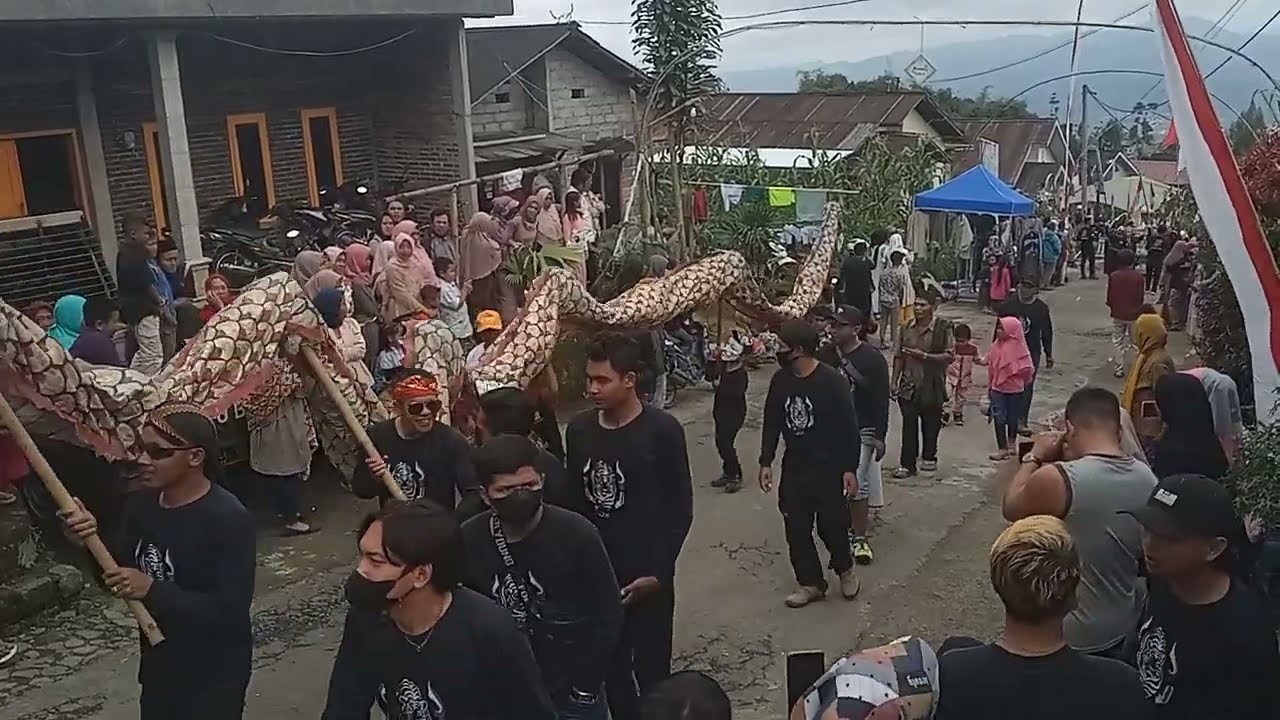 BoRaLan Carnaval,meRdI DeSa mBoralan GaRuNg WONOSOBO  part 1
