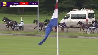 Vidéo de la course PMU PRIX OZO