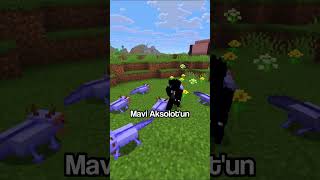 MİNECRAFT'TAKİ EN NADİR CANLI⛏💎