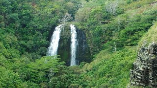 Best of Kaua'i - Waimea Canyon, Spouting Horn Blowhole, Fern Grotto and More