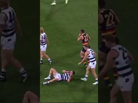 Joel Selwood takes