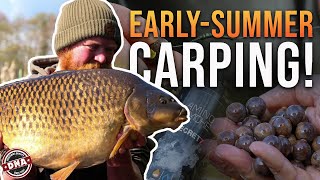 TIPS, RIGS AND BAIT! EARLY-SUMMER CARPING | DNA BAITS | CARP FISHING | WYRESIDE LAKES | CALLUM REID Net Worth