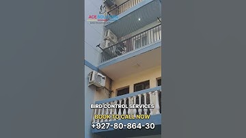 Best quality nylon bird net installation work done for balcony #birdcontrol #acesolutionswrvices