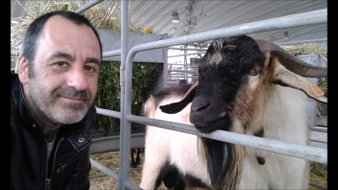 365 days 365 selfies