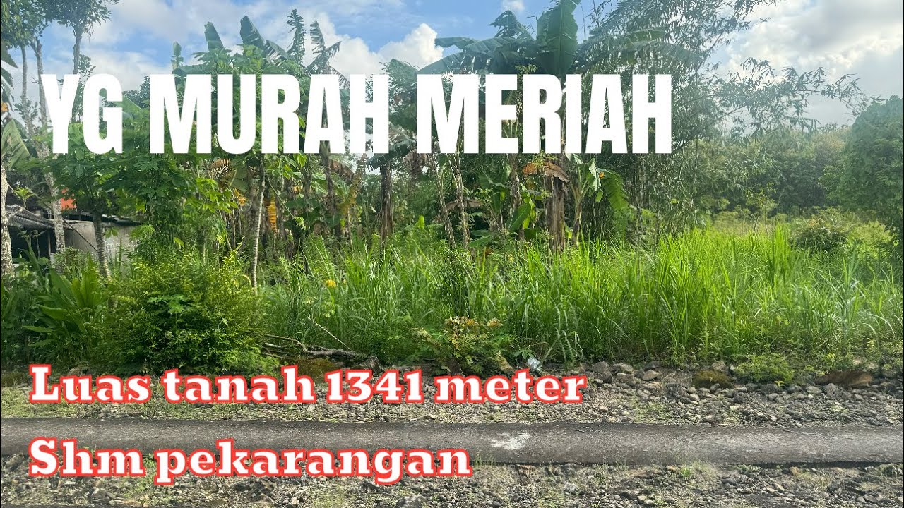 LUAS TANAH 1341 METER 200 METER DARI JLN PROVINSI @rajiproperty channel