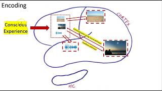 Making an episodic memory of a solar eclipse... part 2... encoding and storage