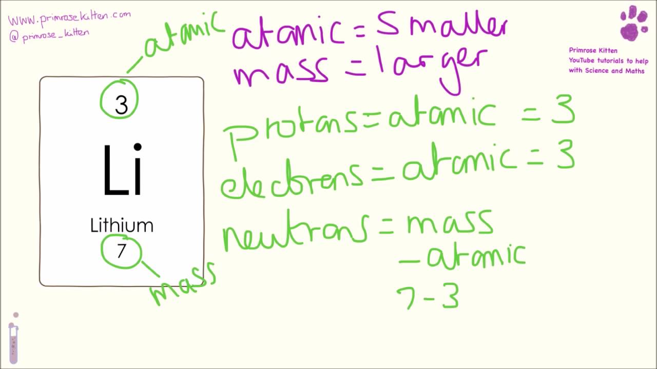 Protons Neutrons And Electrons