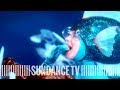 MAMMAS: Cichlid Fish | From Green Porno's Isabella Rossellni