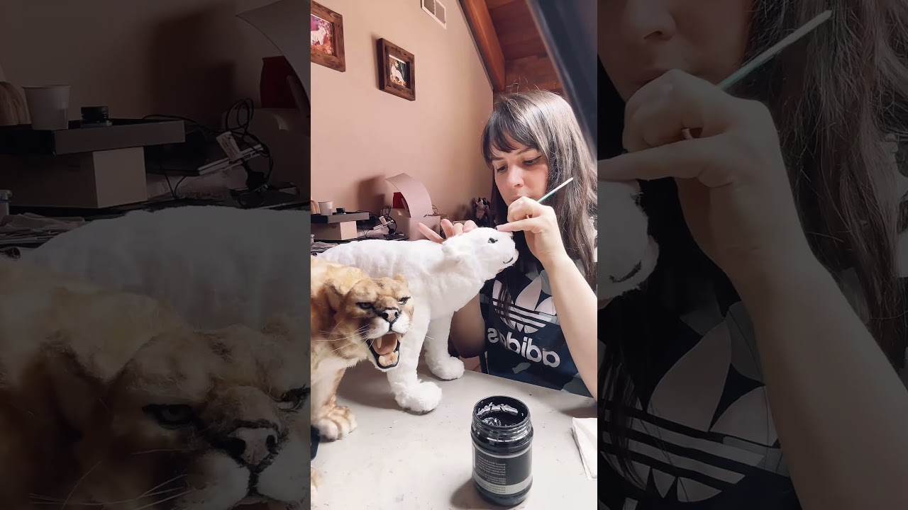 Some live highlights of the leopard seal sculpt and airbrushing the jaguar coat. 