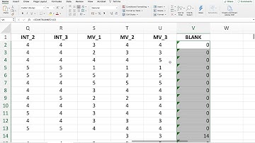 Treating Blank Responses in Microsoft Excel Before Transferring the data into SPSS