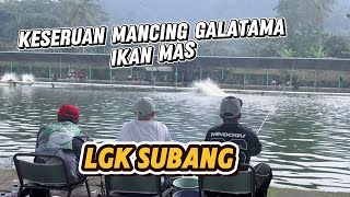 Download Lagu UDAH LAMA GAK MANCING GALATAMA IKAN MAS DI LGK SUBANG NIH MP3