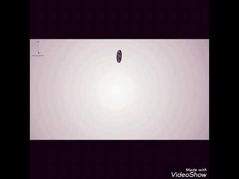 شارة مسلسل الواق واق الاصلية