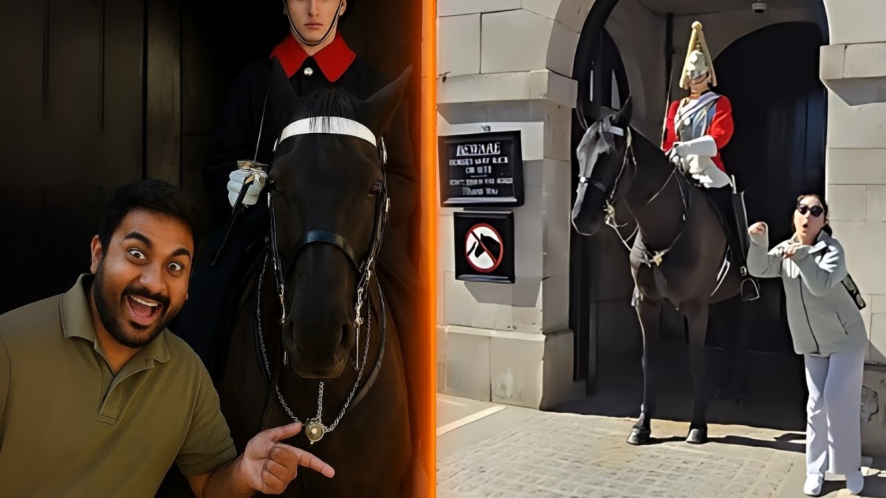 Indian and Chinese Tourists IGNORE Royal Guard’s Warnings — Immediate REGRET!