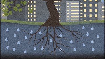 Digging data from dirt