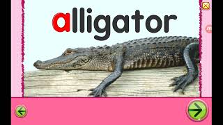 Starfall Abc Alphabet A