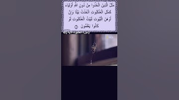 الآية رقم 41  #  من سورة العنكبوت ## لَبَيْتُ الْعَنْكَبُوتِ بيت عجيب من أسوأ البيوت على اﻹطلاق#