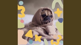 Simplistic Ambiance for Training Your Pets