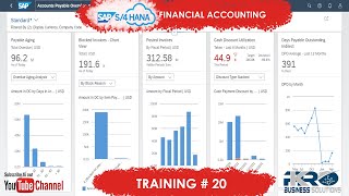 Training 22 - SAP S/4 Hana - Report on Open Dispute Cases - Accounts receivable