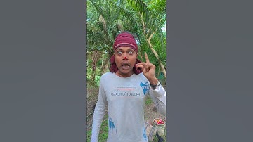 How I Cured a Bug Bite with Yogurt in the Wild | Survival Hacks #1589187