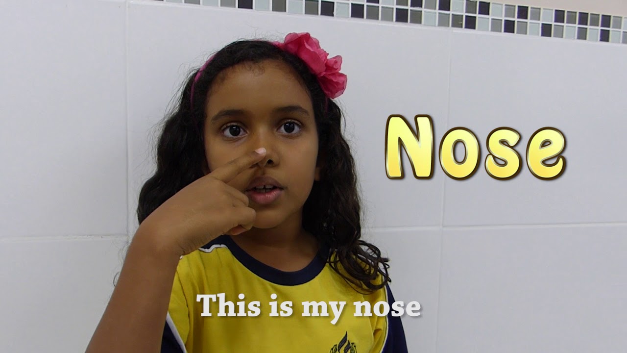 Body parts song english school system