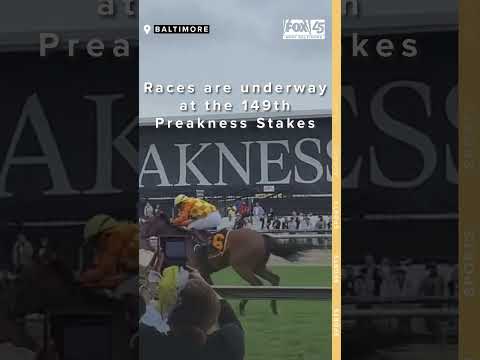 Races at the 149th Preakness Stakes have begun