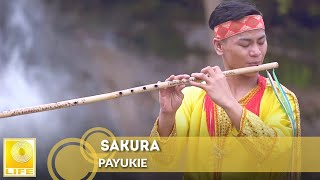 Payukie (Juara Dunia Performing Arts 2016) - Sakura