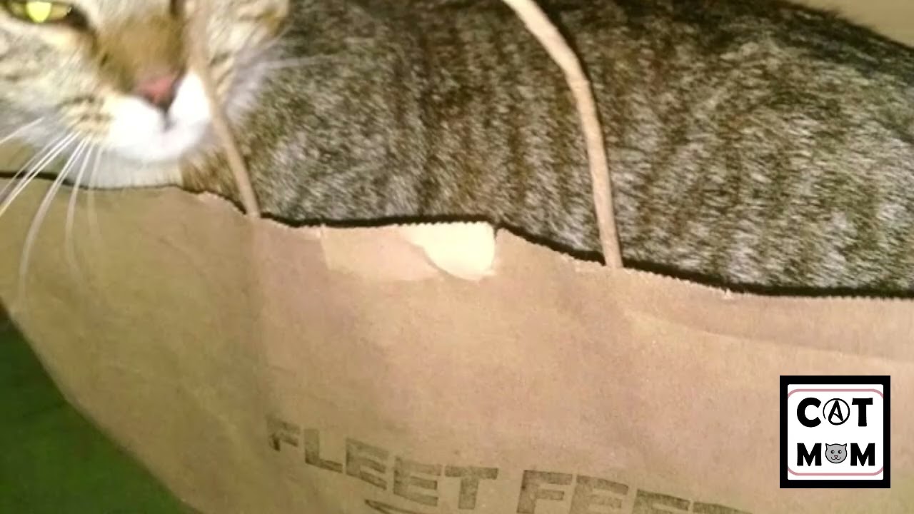 popular song book w  chord subs (2.19.26.3.4)