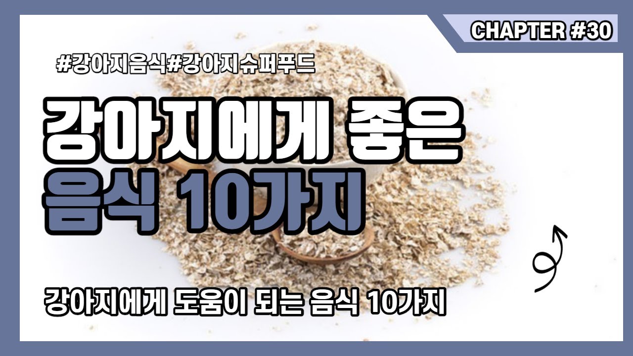 강아지에게 좋은 음식 10가지