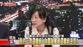 【台灣新政局特別企劃】少康麗文_367_20141216_5(TVBS DMDD)