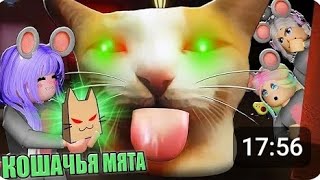 вибирись из длма котика автор:кошка лана: