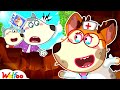 The Doctor Got Lost😨 Where is My Doctor? - Wolfoo Educational Videos For Kids | Wolfoo Channel