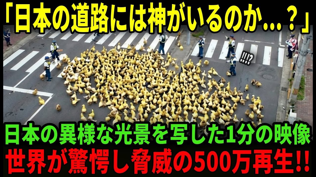 【海外の反応】「やはり日本は異世界だ」日本の異様な光景を写した1分の映像が500万再生...その理由とは