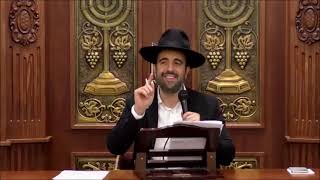 הרב מאיר אליהו - הפצ"רית הבוגדת והערב רב בישראל || ש"י ✔