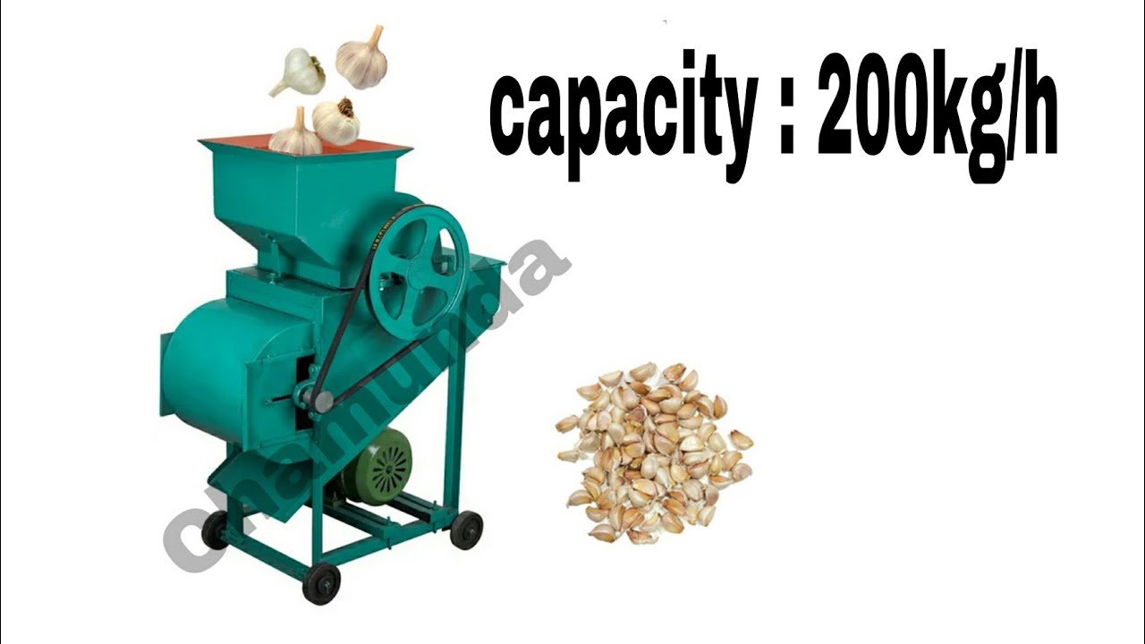 GARLIC BULB BREAKER MACHINE PRICE GARLIC CUTTER MACHINE GARLIC PEELING