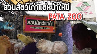 Pata Zoo สวนสัตว์พาต้าเจ้าเก่าแต่หน้าใหม่ พาไปชม "ป้าบัว" กอลิลล่าในตำนาน | feat. Jaguar Foto