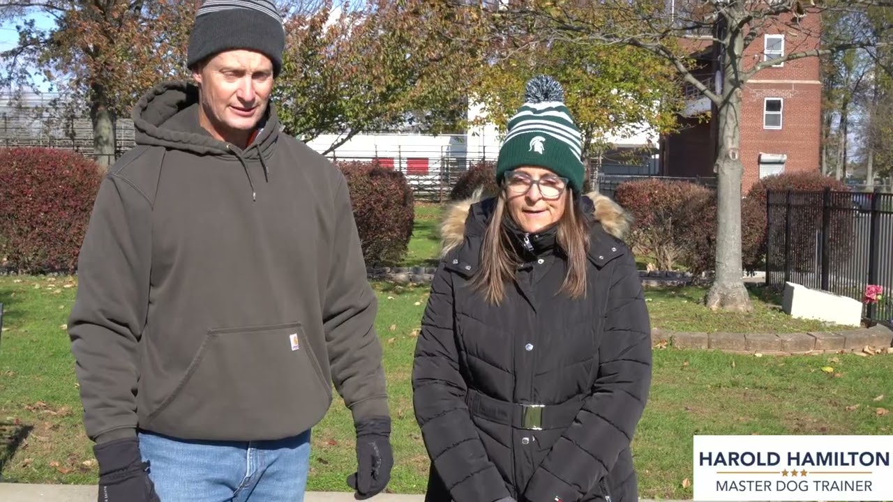 Ann and Craig's Story - Harold Hamilton - Master Dog Trainer - Long Island, New York Dog Training