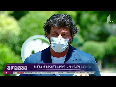 ბიძინა ივანიშვილის წერილი - პოლიტიკური შეფასებები
