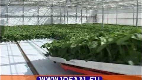 IDEAAL - Opraapwagen/ Rockwool block pick-up machine