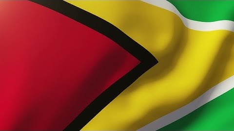 Guyana Flag Waving In The Wind. Looping Sun Rises Style. Animation Loop Stock Animation