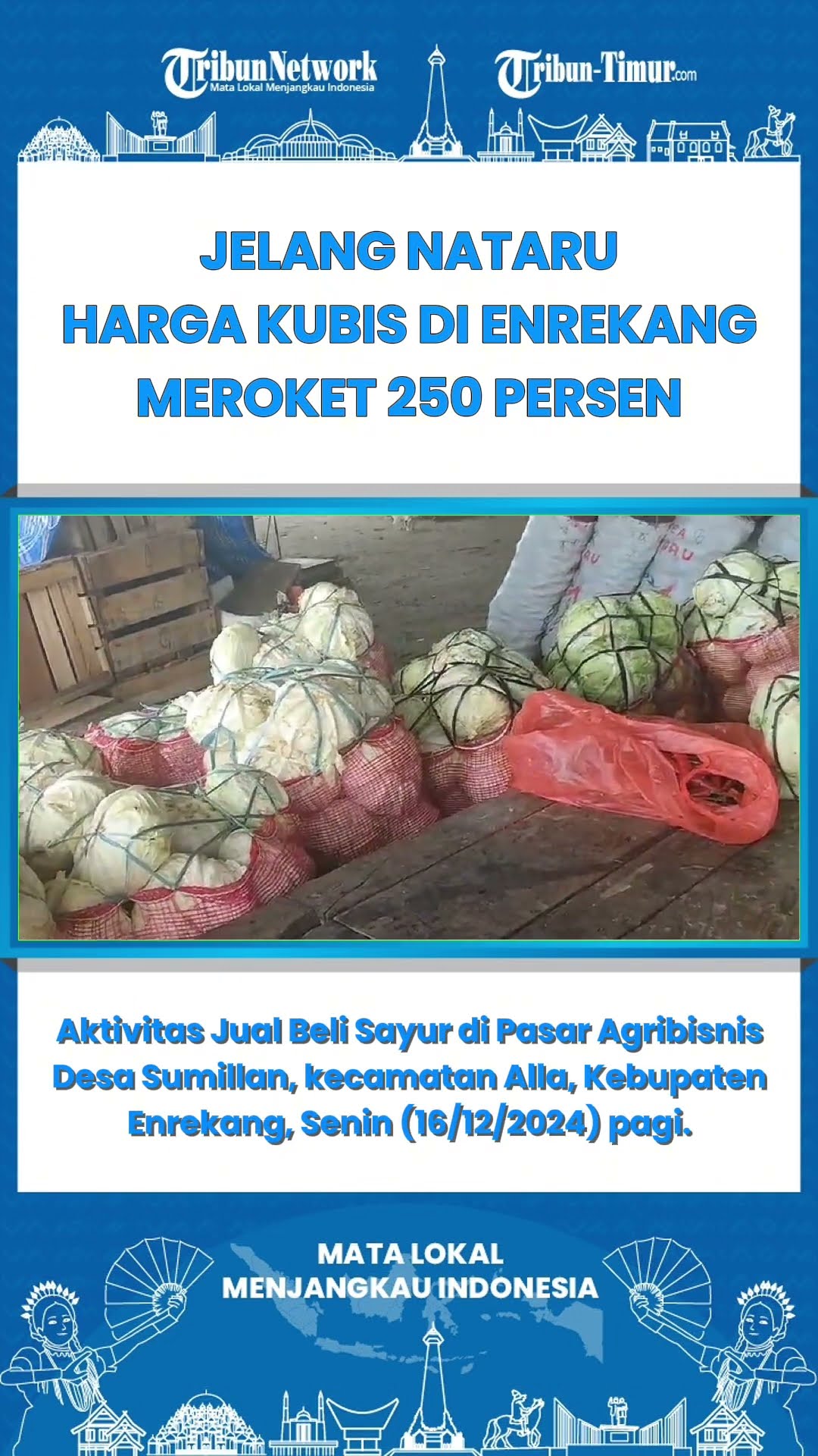 SHORT Jelang Nataru Harga Kubis Di Enrekang Meroket 250 Persen