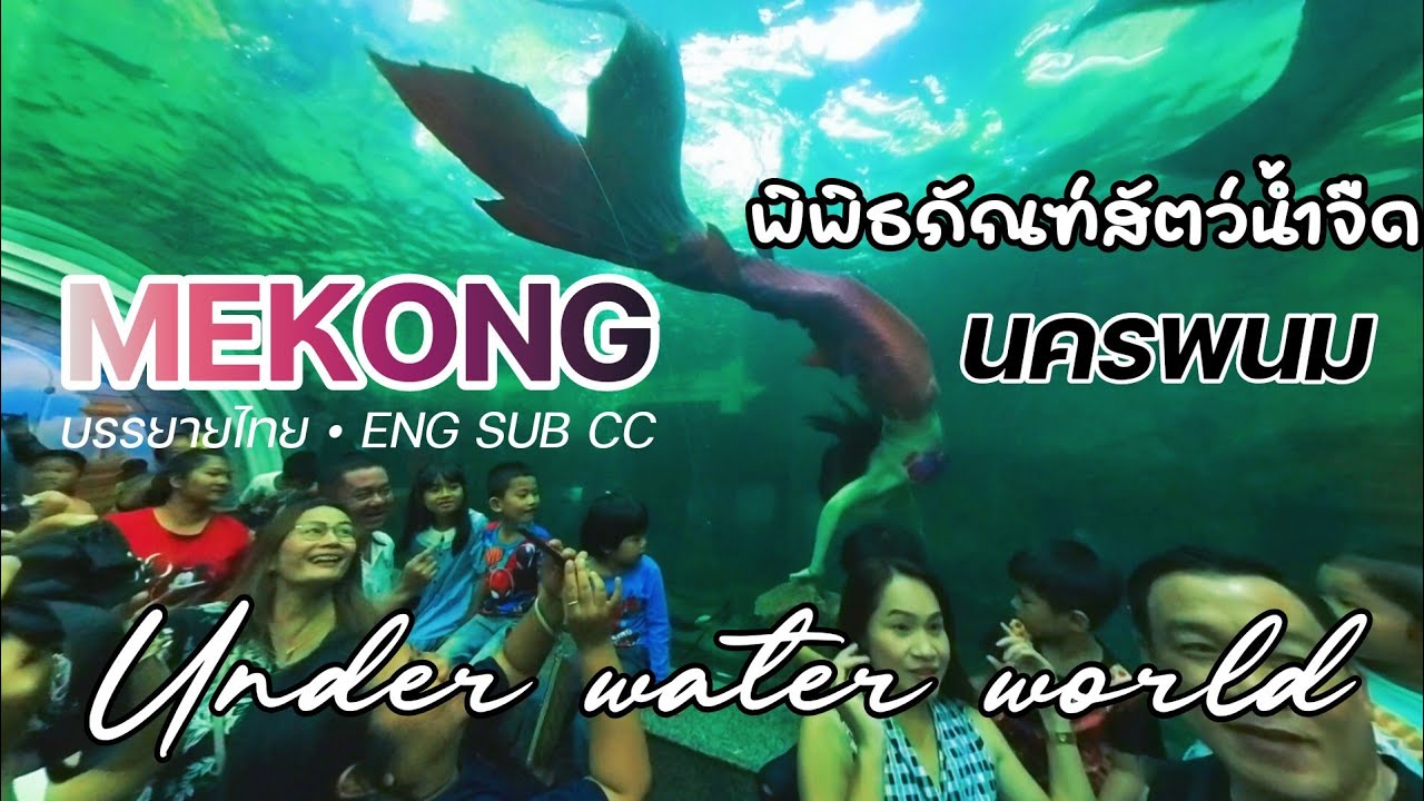 ดูราชินีแห่งแม่น้ำโขง นครพนมอัพเดท 2023 • พิพิธภัณฑ์สัตว์น้ำจืด โลกของปลาแม่น้ำโขง อ.เมือง จ.นครพนม