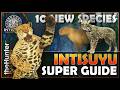 Intisuyu HOTSPOT SUPER GUIDE for 10 Brand New Species! (Best Times, Info &amp; Hotspot Maps)